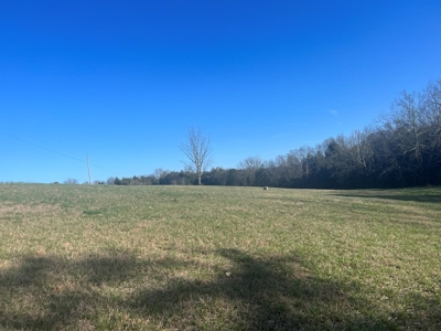Farm Land For Sale in Hamblen County, TN - image 23