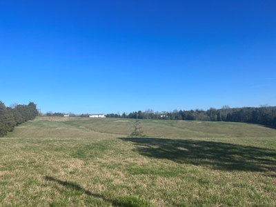 Farm Land For Sale in Hamblen County, TN - image 26