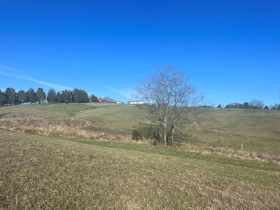 Farm Land For Sale in Hamblen County, TN - image 18