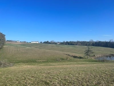 Farm Land For Sale in Hamblen County, TN - image 27