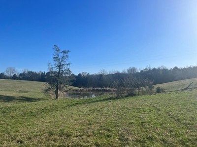 Farm Land For Sale in Hamblen County, TN - image 12