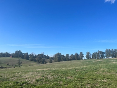 Farm Land For Sale in Hamblen County, TN - image 4