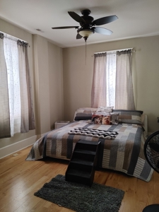 Business, Owners Apartment and a Rental all in one - image 9