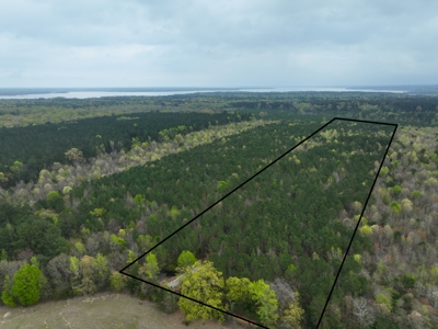 Land for Sale in East Texas - image 16