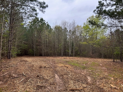 Land for Sale in East Texas - image 13