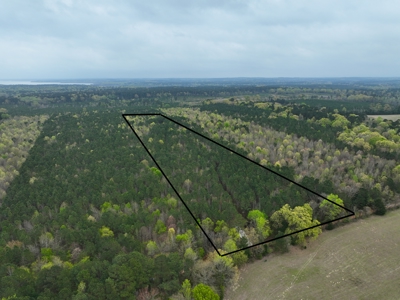 Land for Sale in East Texas - image 20