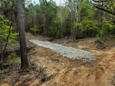 Land for Sale in East Texas - image 19