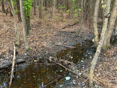 Land for Sale in East Texas - image 18