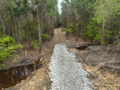 Land for Sale in East Texas - image 1