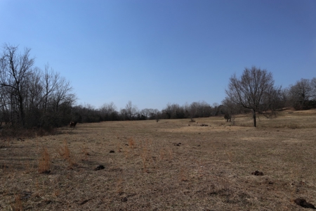 Ozarks Farm And Development Property For Sale Salem Ar - image 9