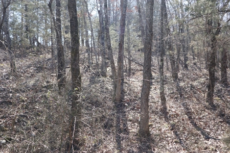 Ozarks Farm And Development Property For Sale Salem Ar - image 18