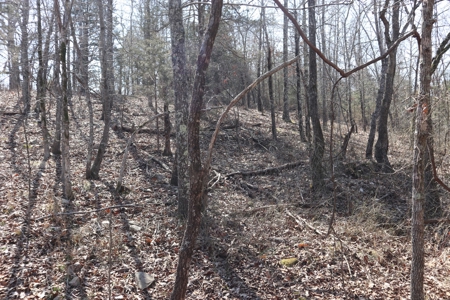 Ozarks Farm And Development Property For Sale Salem Ar - image 16