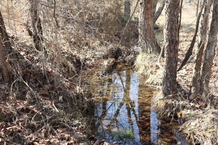Ozarks Farm And Development Property For Sale Salem Ar - image 22