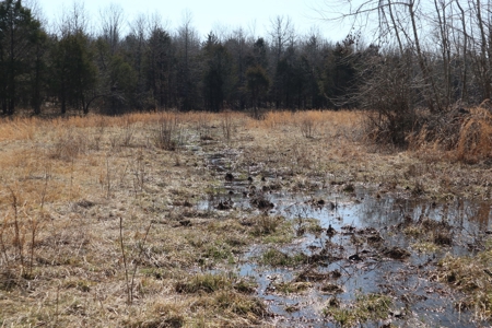 Ozarks Farm And Development Property For Sale Salem Ar - image 21