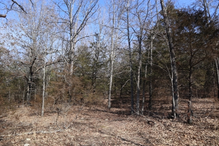 Ozarks Farm And Development Property For Sale Salem Ar - image 31