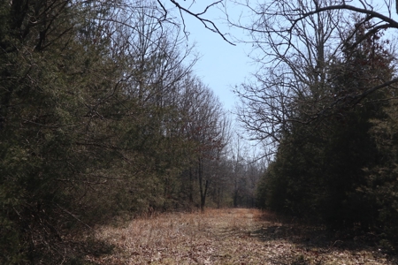 Ozarks Farm And Development Property For Sale Salem Ar - image 29
