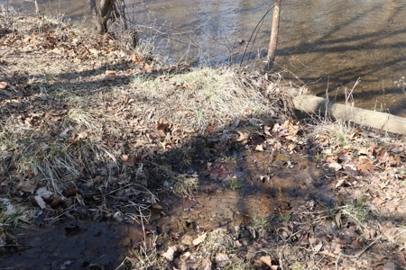 Ozarks Farm And Development Property For Sale Salem Ar - image 23