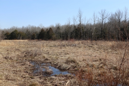 Ozarks Farm And Development Property For Sale Salem Ar - image 24