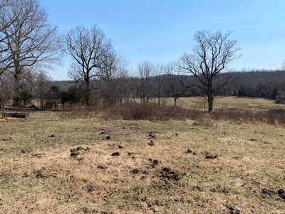 Ozarks Farm And Development Property For Sale Salem Ar - image 1