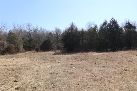 Ozarks Farm And Development Property For Sale Salem Ar - image 15