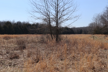 Ozarks Farm And Development Property For Sale Salem Ar - image 25