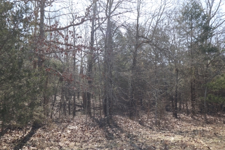 Ozarks Farm And Development Property For Sale Salem Ar - image 19