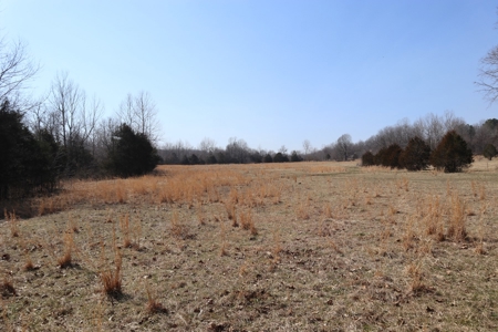Ozarks Farm And Development Property For Sale Salem Ar - image 34