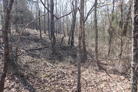 Ozarks Farm And Development Property For Sale Salem Ar - image 17