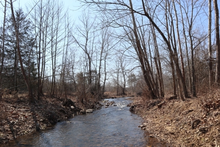 Ozarks Farm And Development Property For Sale Salem Ar - image 13