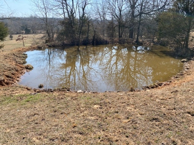 Ozarks Farm And Development Property For Sale Salem Ar - image 3