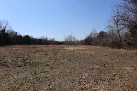 Ozarks Farm And Development Property For Sale Salem Ar - image 14