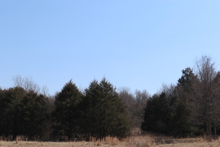 Ozarks Farm And Development Property For Sale Salem Ar - image 28