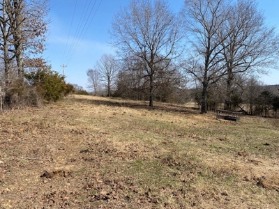 Ozarks Farm And Development Property For Sale Salem Ar - image 2