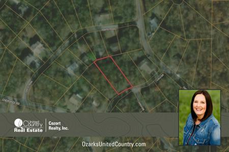 Lot For Sale in Cherokee Village - image 1