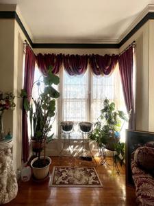 Historic 1800's Home For Sale in Earlville, New York! - image 10