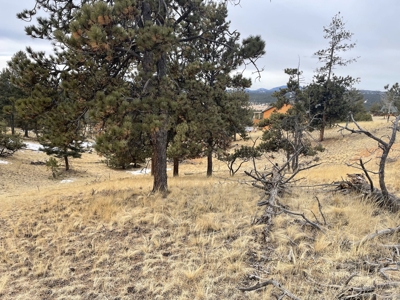 Colorado Mountain Property for sale - image 8