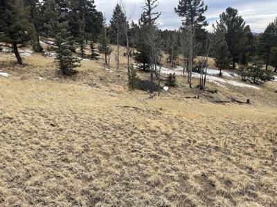 Colorado Mountain Property for sale - image 6