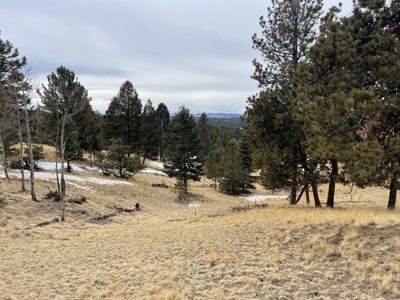 Colorado Mountain Property for sale - image 9