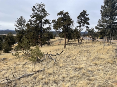Colorado Mountain Property for sale - image 11