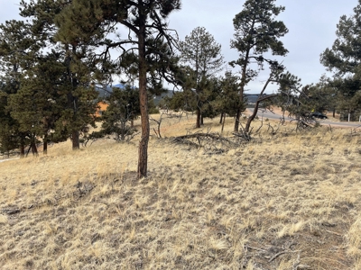 Colorado Mountain Property for sale - image 2