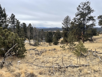 Colorado Mountain Property for sale - image 10