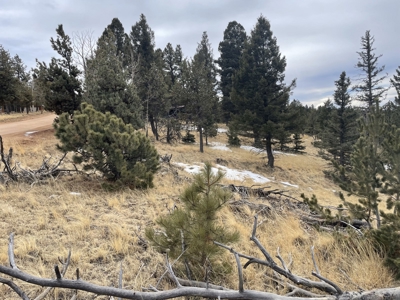 Colorado Mountain Property for sale - image 4