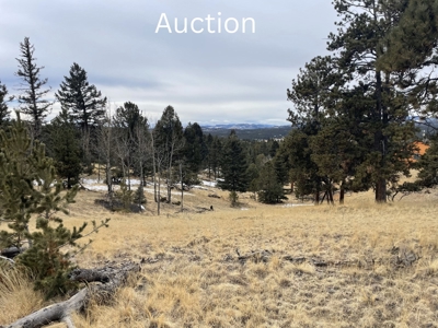 Colorado Mountain Property for sale - image 1