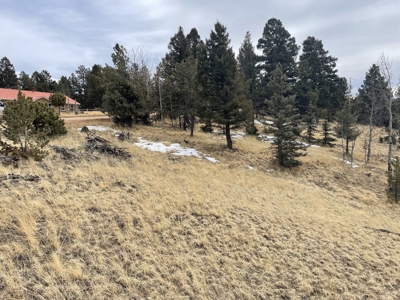 Colorado Mountain Property for sale - image 5