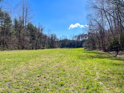 Recreational Land with Creeks for Sale in Woolwine VA - image 1