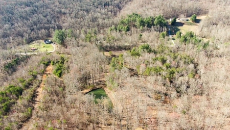 Wooded Land for Sale in Woolwine VA! - image 1