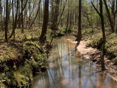 40 Secluded Acres with Mature Timber and Creek for Sale SWMS - image 1