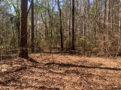40 Secluded Acres with Mature Timber and Creek for Sale SWMS - image 6