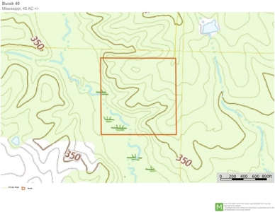 40 Secluded Acres with Mature Timber and Creek for Sale SWMS - image 25