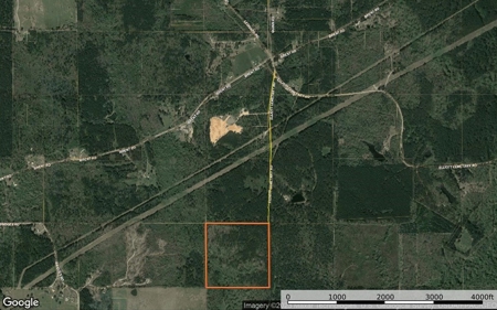 40 Secluded Acres with Mature Timber and Creek for Sale SWMS - image 23
